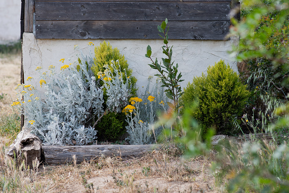 Imagen de Torre Escribana · Centro demostrativo