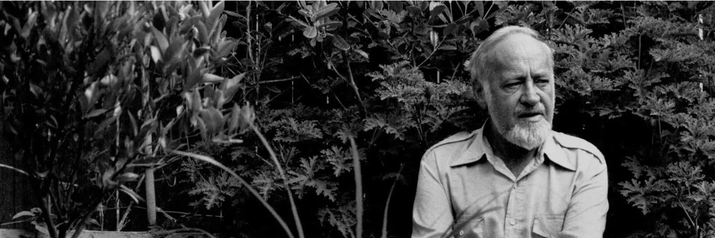 Bosque con luz – banda parallax