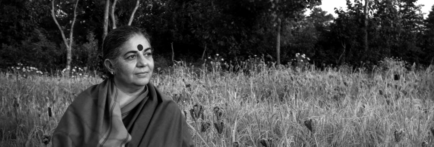 Campo – banda parallax