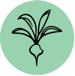 permacultura asesorar