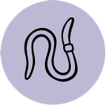 permacultura asesorar