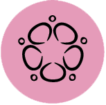 permacultura asesorar