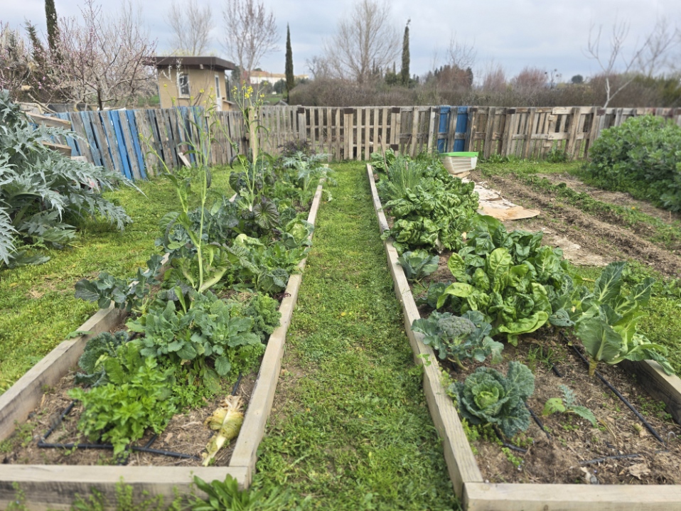 Vegetable garden at Torre Escribana